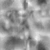 Grey Plaster - Displacement map