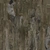 Island Tree 02 - Diffuse map