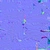 Jacaranda Tree - trunk_nor_gl map