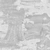 Jacaranda Tree - trunk_rough map