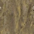 Japanese Hackberry Bark - Diffuse map