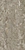 Japanese Sycamore - Diffuse map