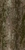 Jolcham Oak Bark 01 - Diffuse map