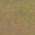 Leafy Grass - Diffuse map
