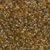 Leaves Forest Ground - Diffuse map