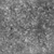 Leaves Forest Ground - Displacement map