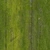 Moss Wood - Diffuse map