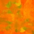 Nettle Plant - arm map
