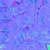 Nettle Plant - nor_gl map