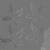 Pachira Aquatica 01 - leaves_rough map
