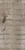 Palm Tree Bark - Diffuse map