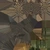 Pine Sapling Small - twig_diff map