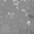 Potted Plant 01 - leaves_rough map