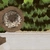 Potted Plant 04 - Diffuse map