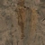 Quiver Tree 01 - trunk_diff map