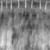 Reed Roof 03 - Displacement map