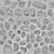 Rock Embedded Concrete Wall - Displacement map