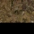 Rock Moss Set 01 - Diffuse map