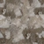 Rocks Ground 05 - rough_diff map