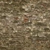 Rough Plaster Brick - Diffuse map