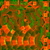 Seedling Tray 01 - arm map