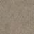 Shell Floor 01 - Diffuse map