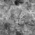 Shell Floor 01 - Displacement map