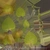Shrub 03 - Diffuse map