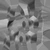 Shrub 04 - Displacement map