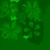 Shrub Sorrel 01 - arm map