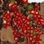 Strawberry Chocolate Cake - Diffuse map