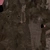 Street Rat - Diffuse map