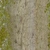 Tree Bark 03 - Diffuse map