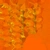 Tree Small 02 - leaves_arm map