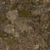 Tree Stump 01 - Diffuse map