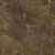 Tree Stump 02 - Diffuse map