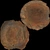 Wooden Bowl 01 - Diffuse map