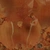 Yellow Onion - Diffuse map
