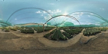 Aloe Farm Shade House - Preview
