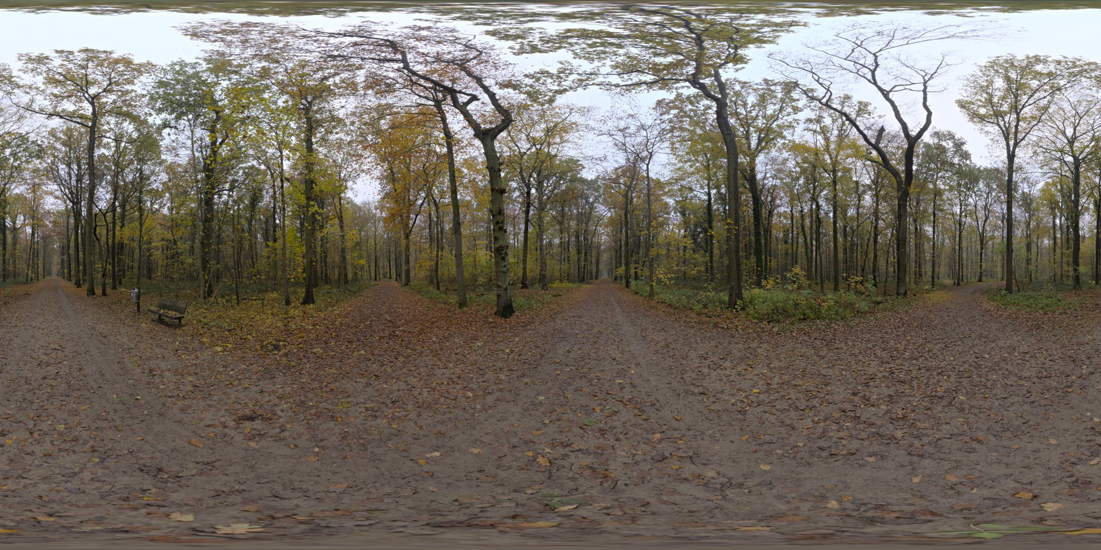 Autumn Crossing