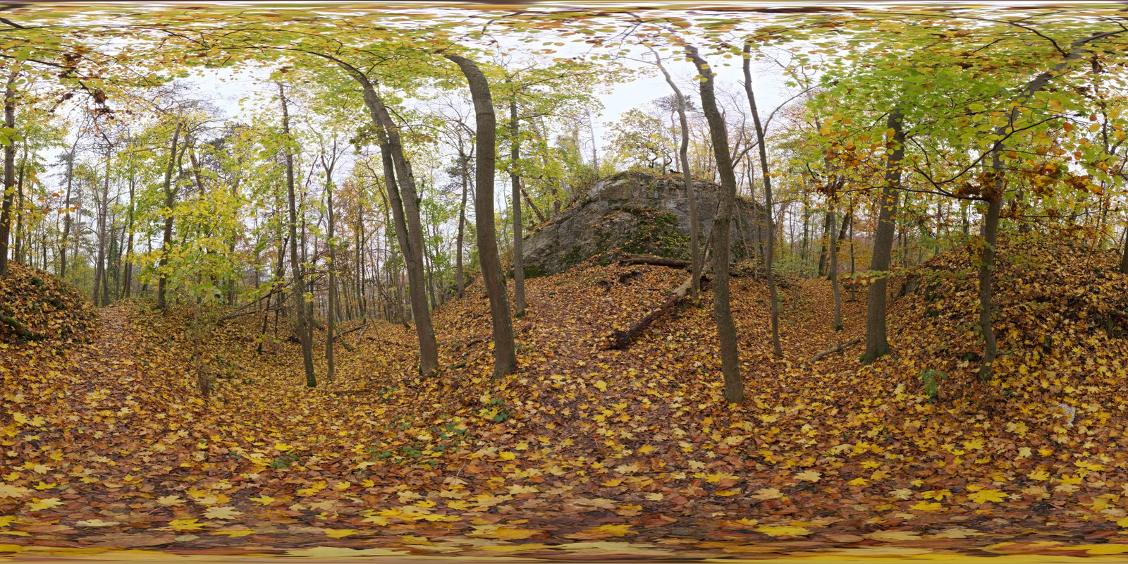 Autumn Forest 01