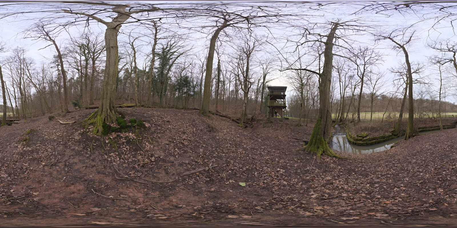 Autumn Forest 03