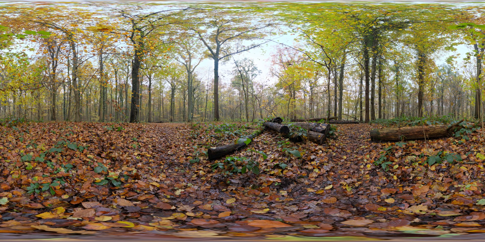 HDRI – Autumn Ground – nature - thumbnail 1