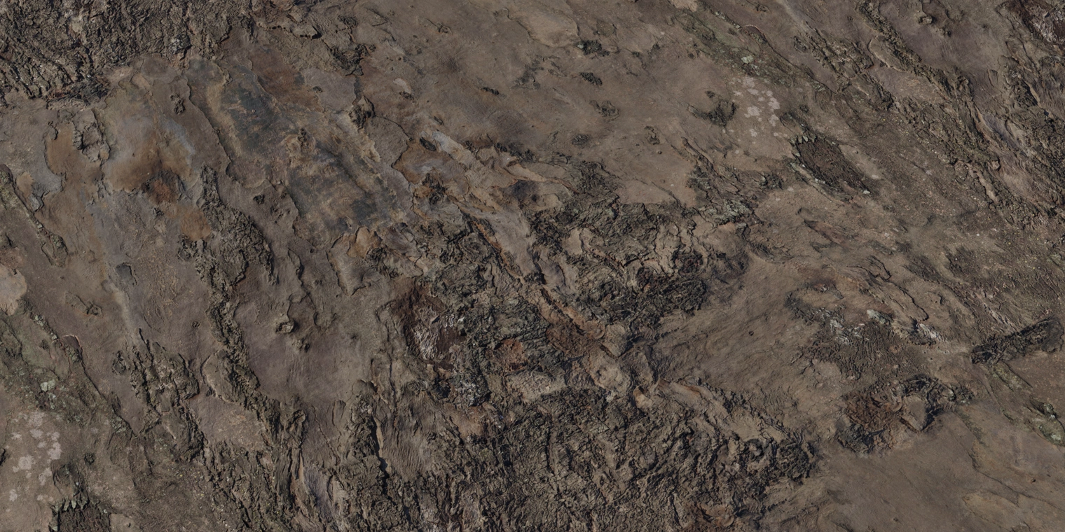 Free 8K texture of blue gum bark, featuring smooth peeling plates, mottled brown-grey tones, subtle lichen spots and shallow fissures with organic roughness.