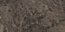 Bark Blue gum - Preview