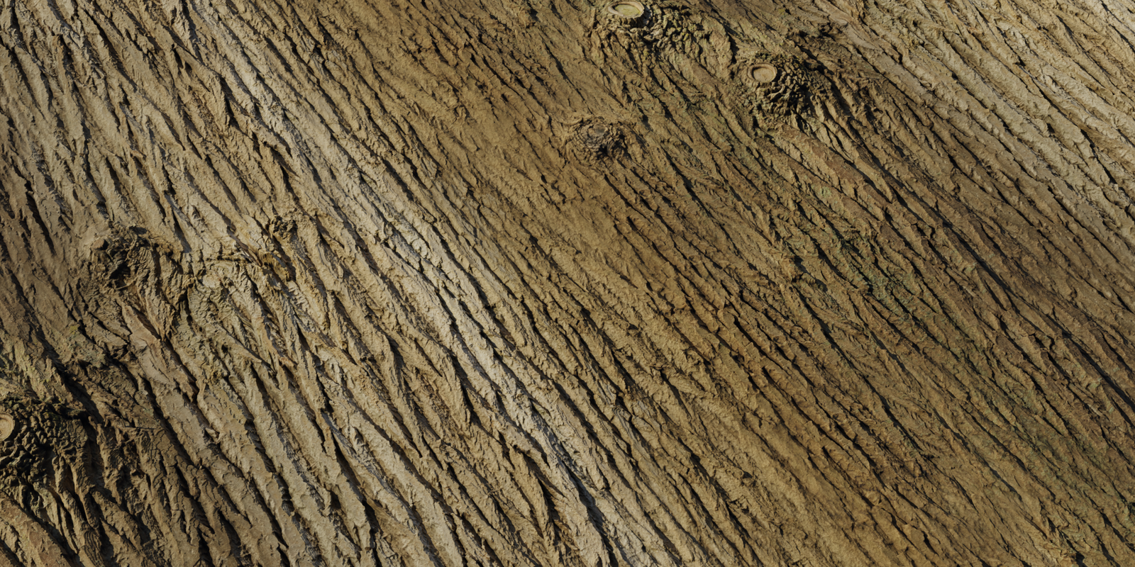 Bark Brown 01