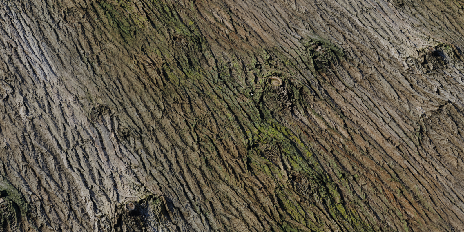 Bark Brown 02