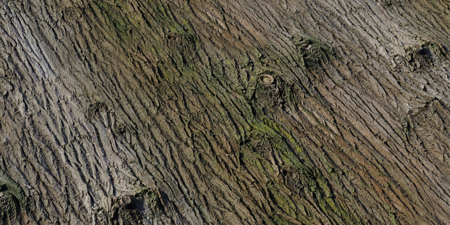 Free 8K bark texture showing rough brown tree bark with deep vertical furrows, wooden knots and subtle mossy green patches, high-detail surface relief.