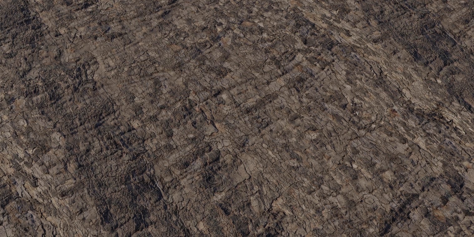 Free 8K texture of Platanus bark: coarse, flaking plates and deep fissures with mottled brown-gray tones and rough organic relief.