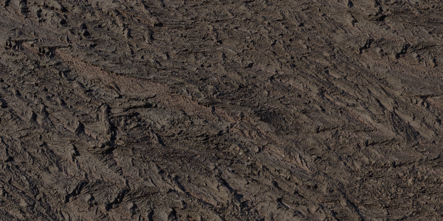 Free 8K texture of willow bark, dark brown and sallow with deep fibrous furrows, rough uneven ridges and a coarse wooden surface.